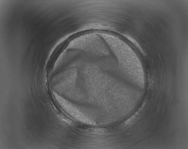 X0000082941070200702222241