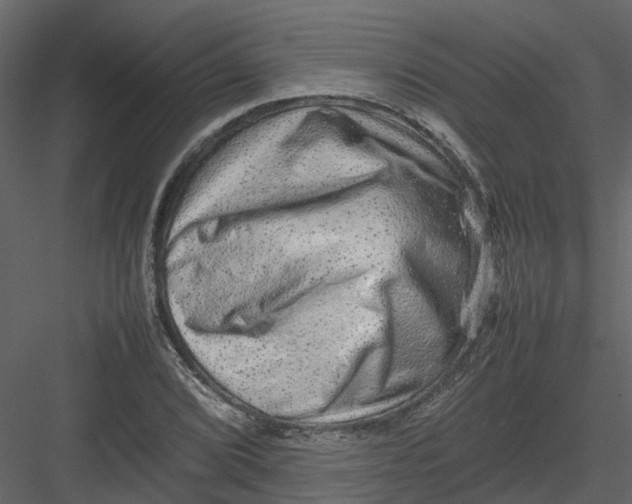 X0000082941072200702222240