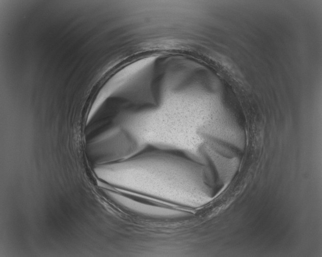 X0000082941073200702222240