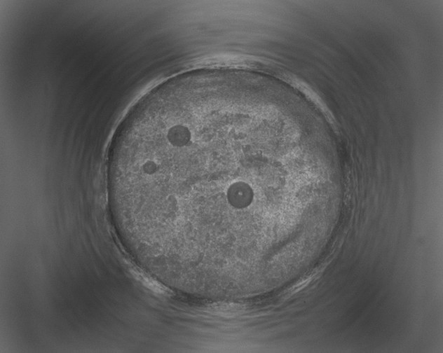 X0000082941075200702222240