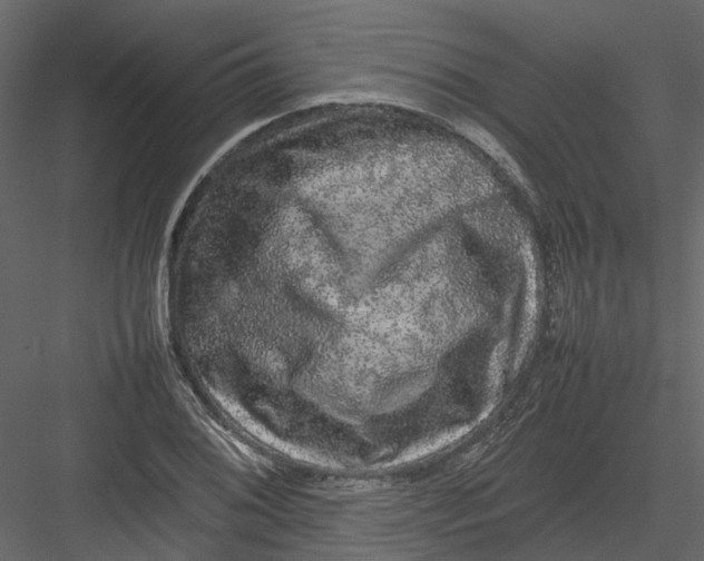 X0000082941076200702222240