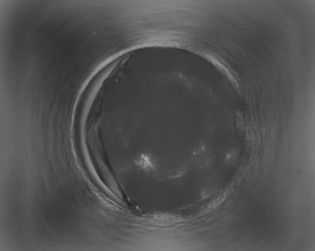 X0000082941077200702222240