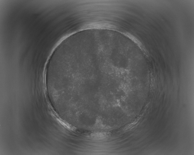 X0000082941078200702222240