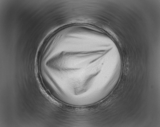 X0000082941080200702222240