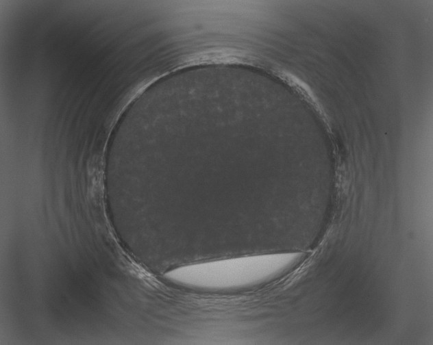 X0000082941081200702222240