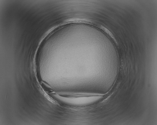 X0000082941082200702222240