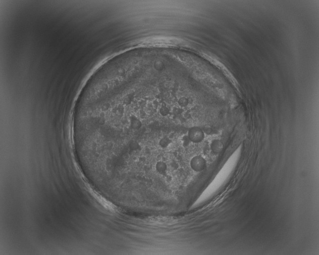 X0000082941083200702222240