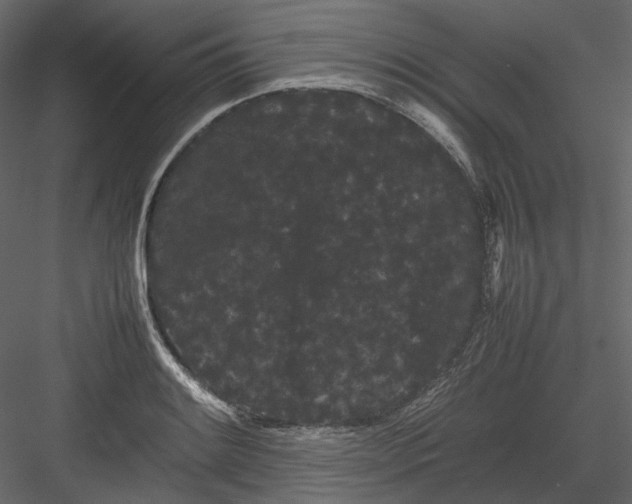 X0000082941084200702222240