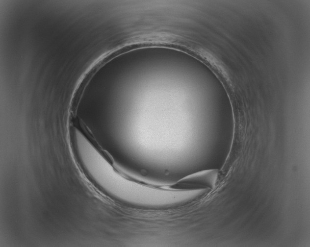 X0000082941085200702222240