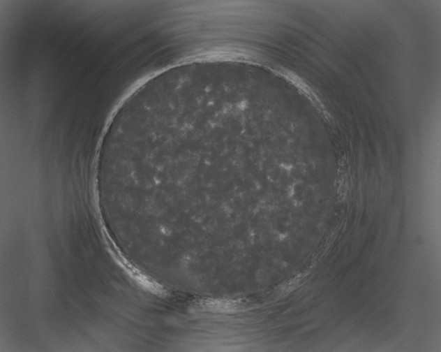 X0000082941086200702222240