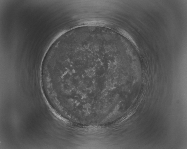 X0000082941087200702222240