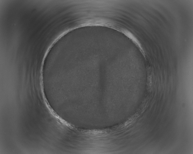 X0000082941088200702222240