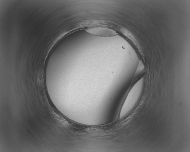 X0000082941089200702222240