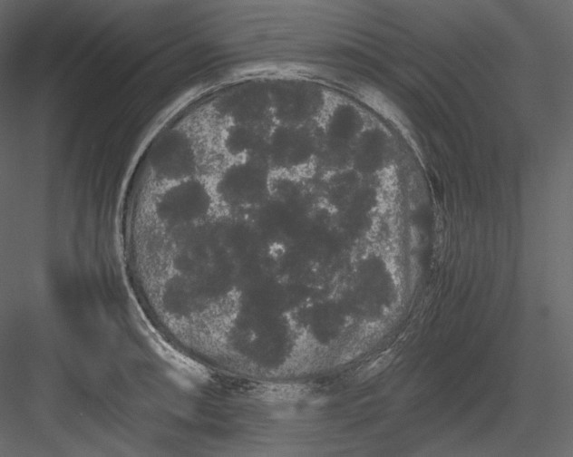 X0000082941090200702222240