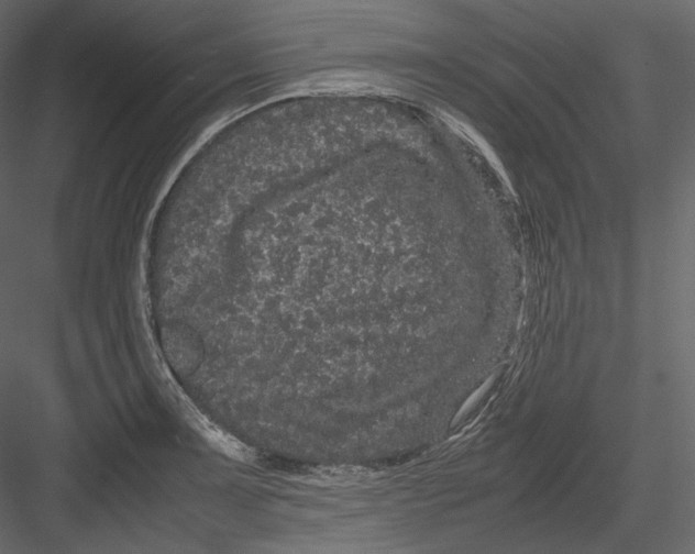 X0000082941091200702222240