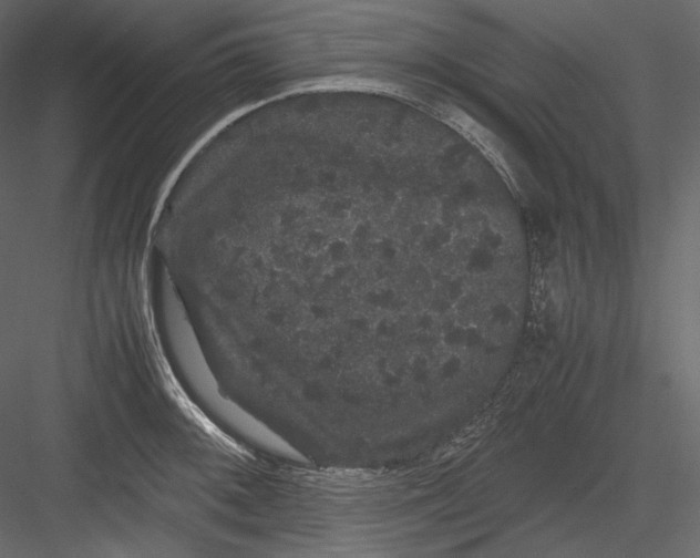 X0000082941092200702222240