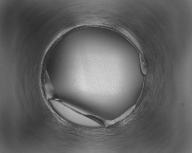 X0000082941093200702222240