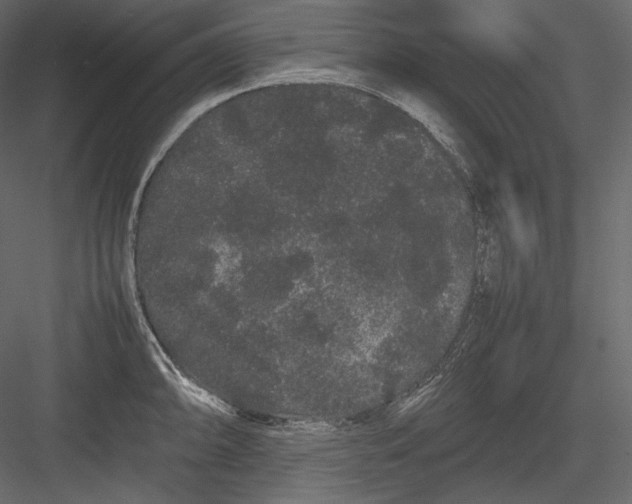 X0000082941094200702222240