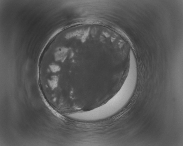 X0000082941095200702222240