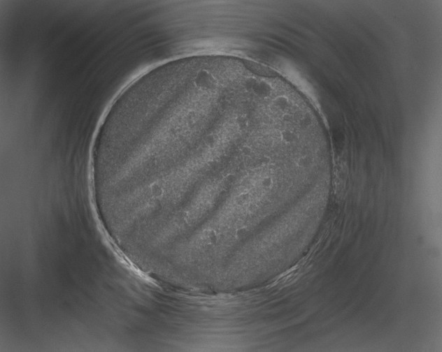 X0000082941096200702222240