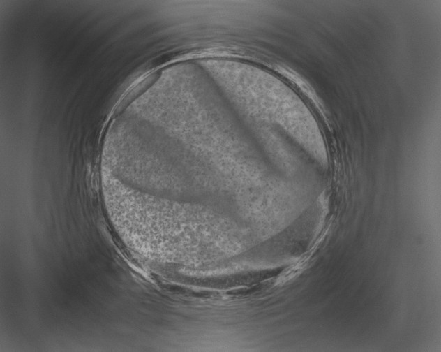 X0000082941097200702222240