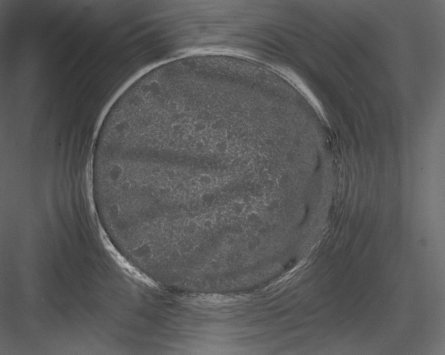 X0000082941100200702222240