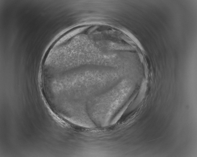 X0000082941101200702222240