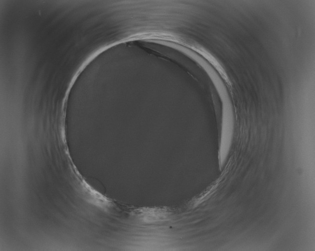 X0000082941102200702222240