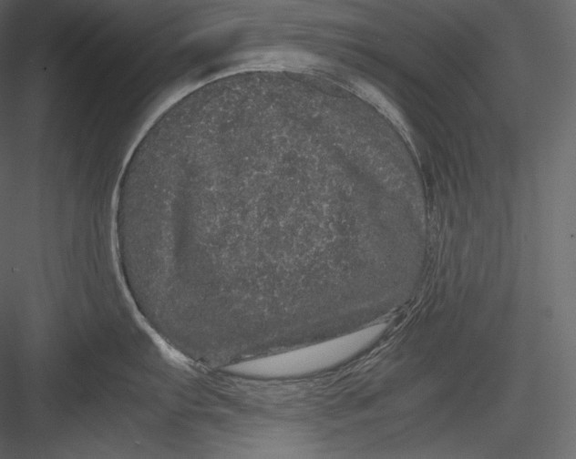 X0000082941103200702222240