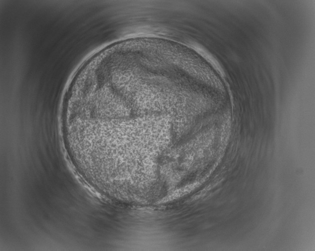 X0000082941104200702222240