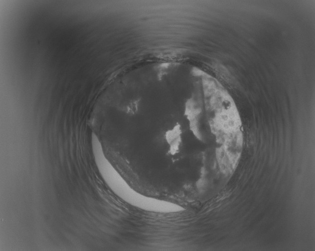 X0000082941106200702222239