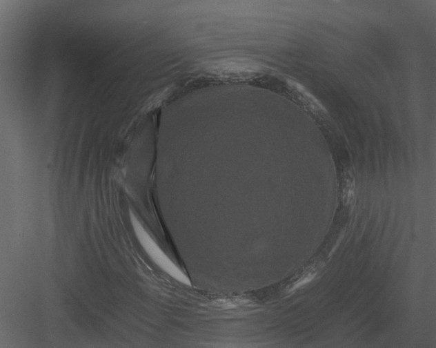 X0000082941108200702222239