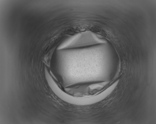 X0000082941109200702222239