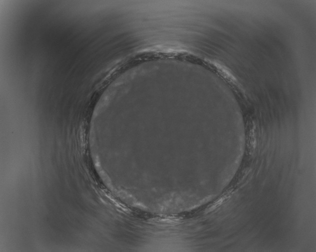 X0000082941110200702222239