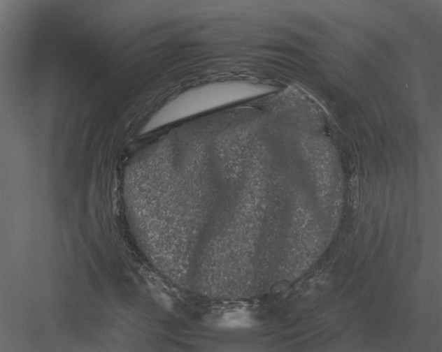 X0000082941111200702222239