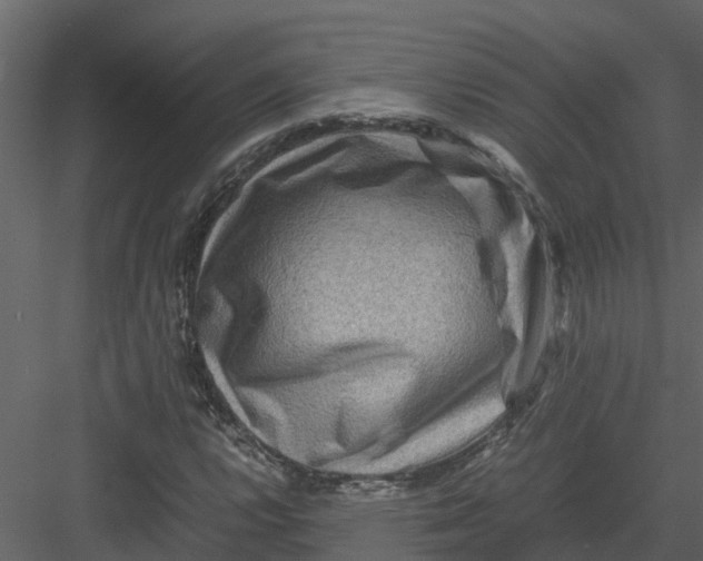 X0000082941112200702222239