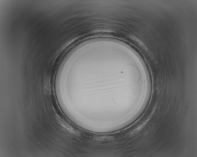 X0000082941113200702222239