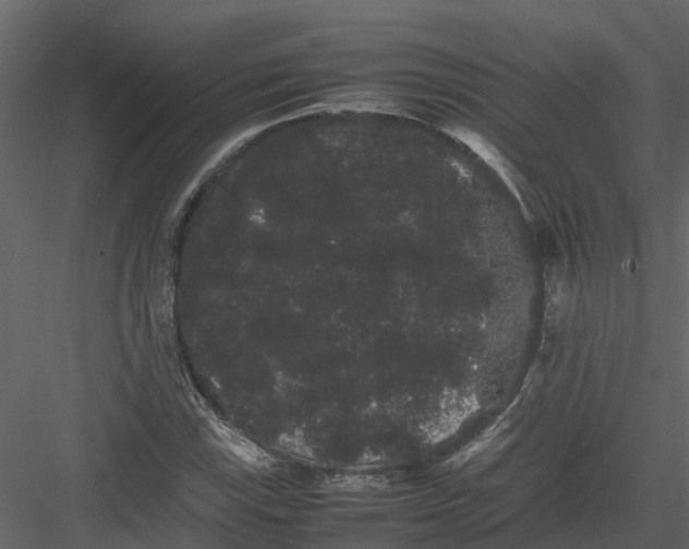 X0000082941115200702222239