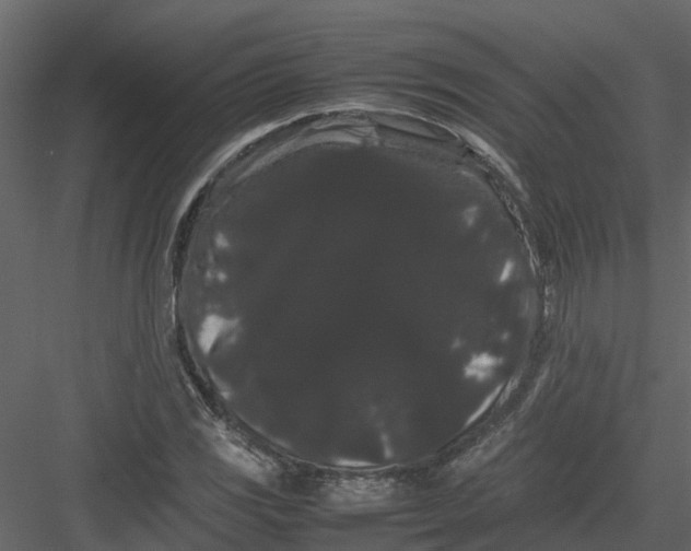 X0000082941117200702222239