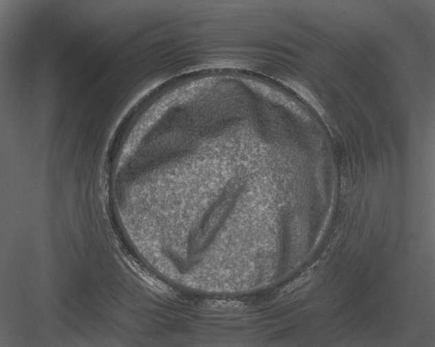 X0000082941119200702222239