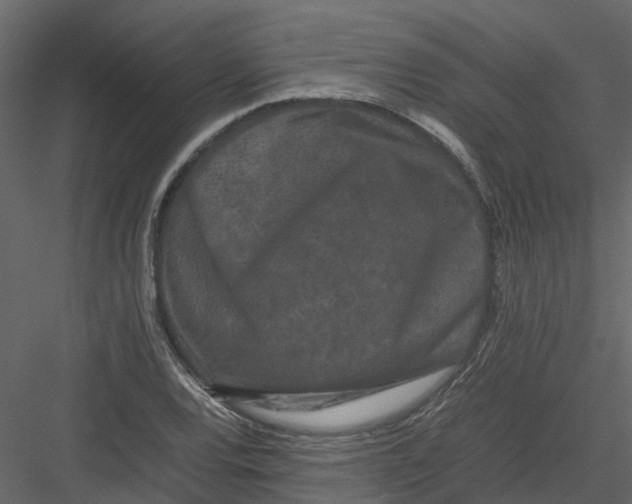 X0000082941120200702222239