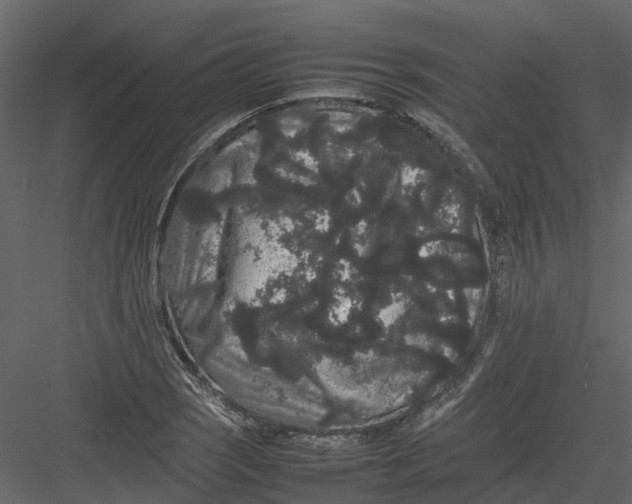 X0000082941121200702222239