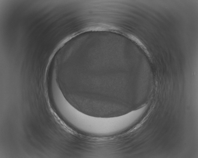 X0000082941122200702222239