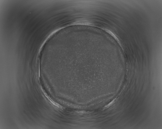 X0000082941123200702222239