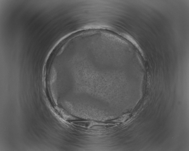 X0000082941124200702222239