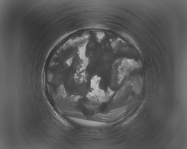 X0000082941125200702222239