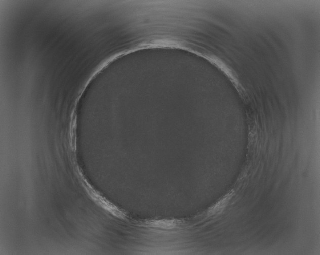 X0000082941126200702222239