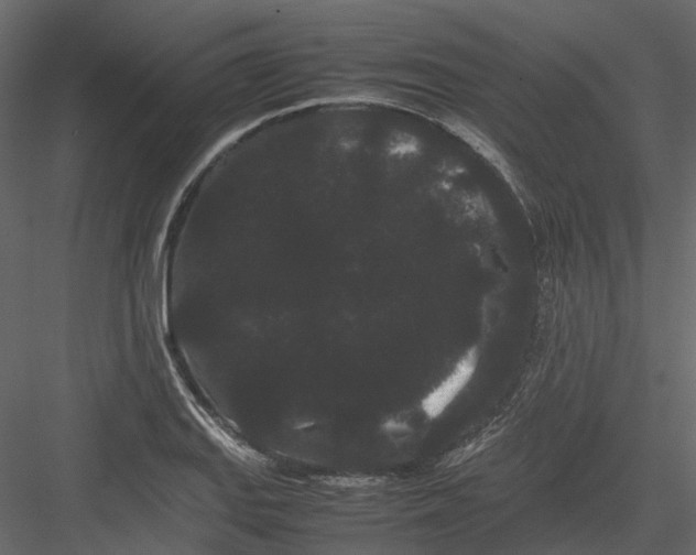 X0000082941127200702222239