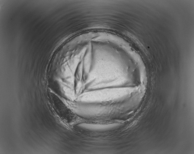 X0000082941129200702222240