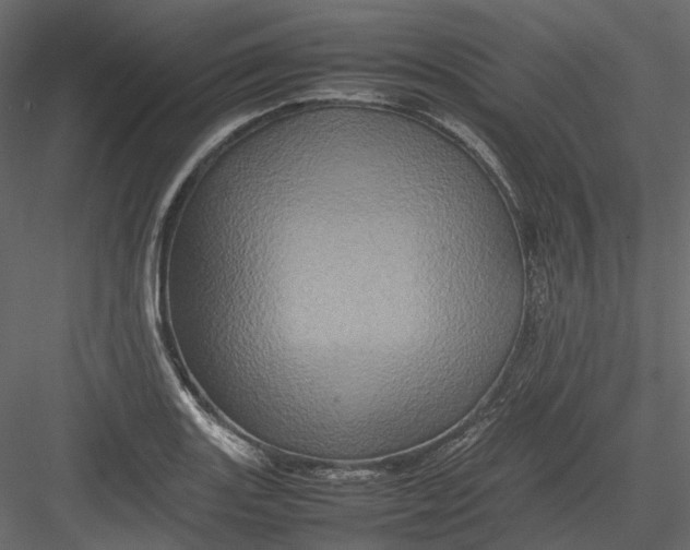 X0000082941131200702222240